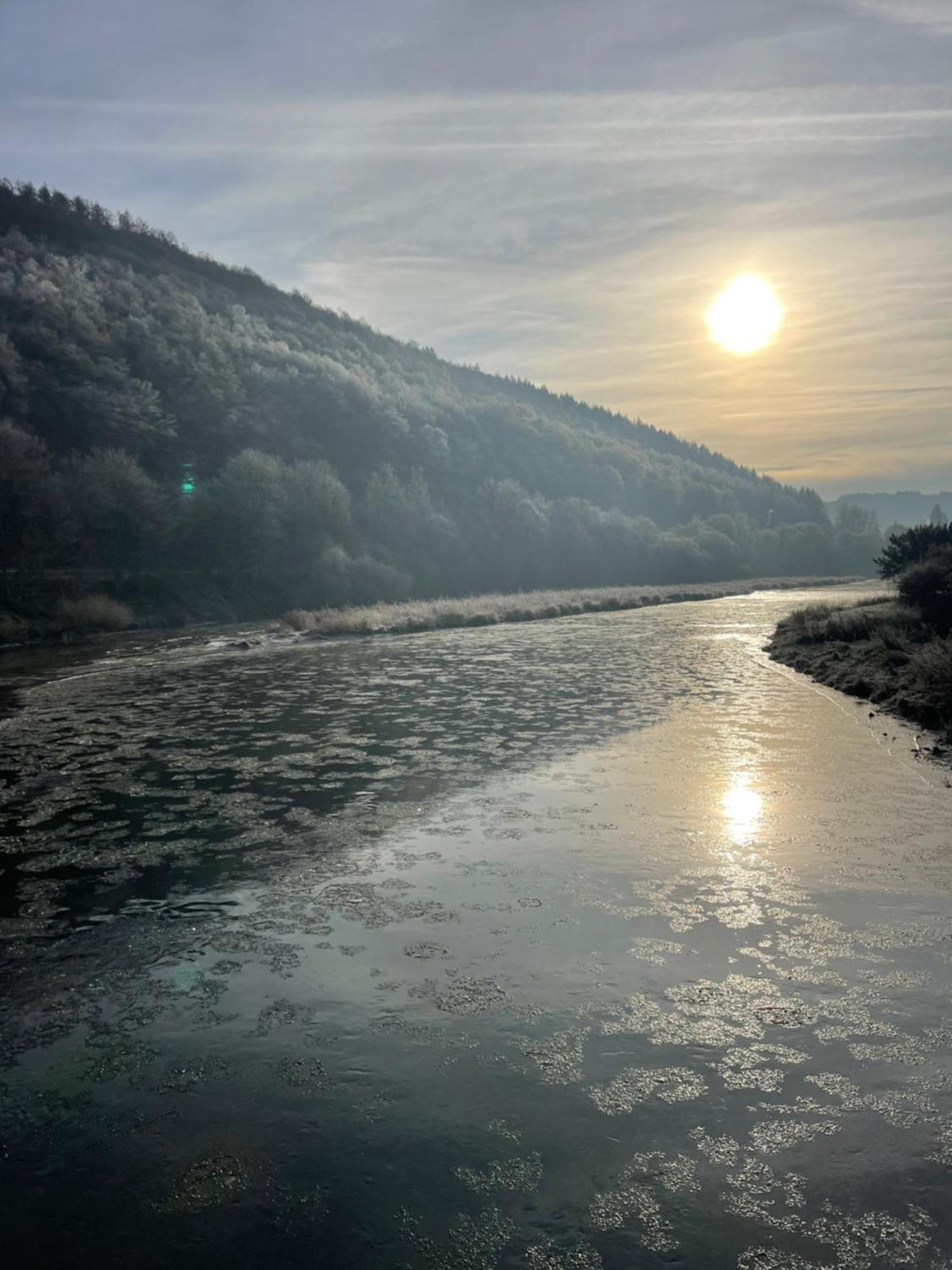 La Petite Passerelle A Mouzaive Vresse-sur-Semois Dış mekan fotoğraf
